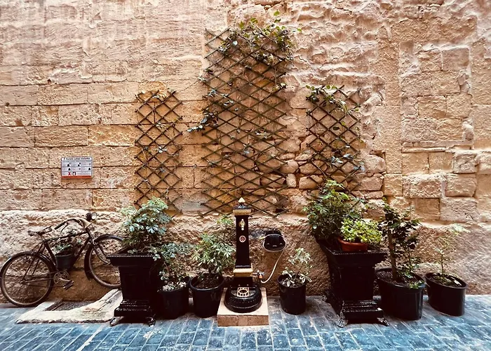 10 La Ruelle * バレッタ